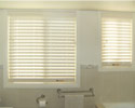 Venetian Blinds